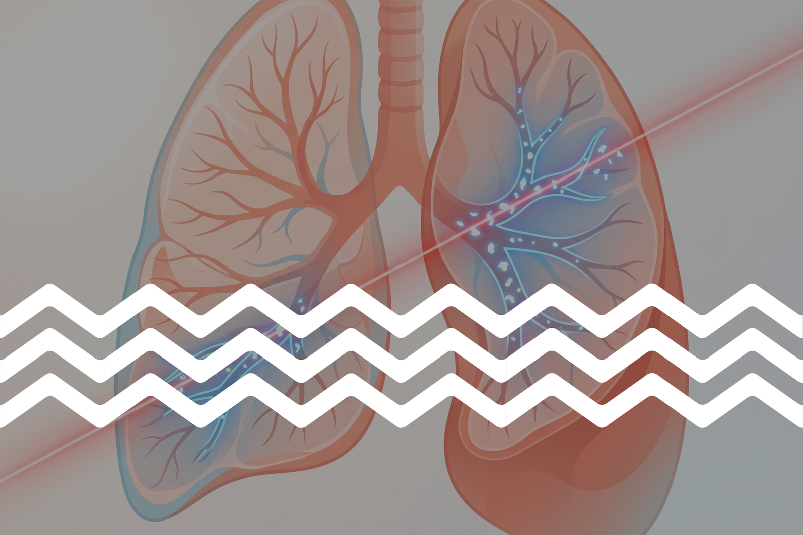 Visualizing the invisible: A breakthrough in tracking microplastics within living tissue