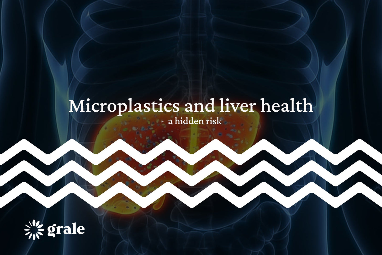 Microplastics and liver health