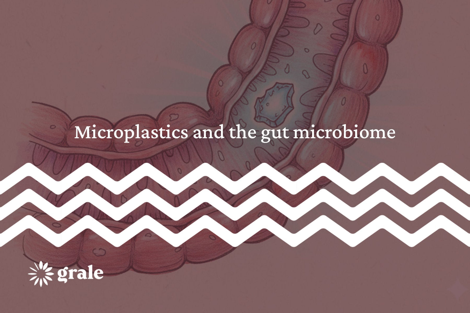 Microplastics and the gut microbiome: What do we really know?