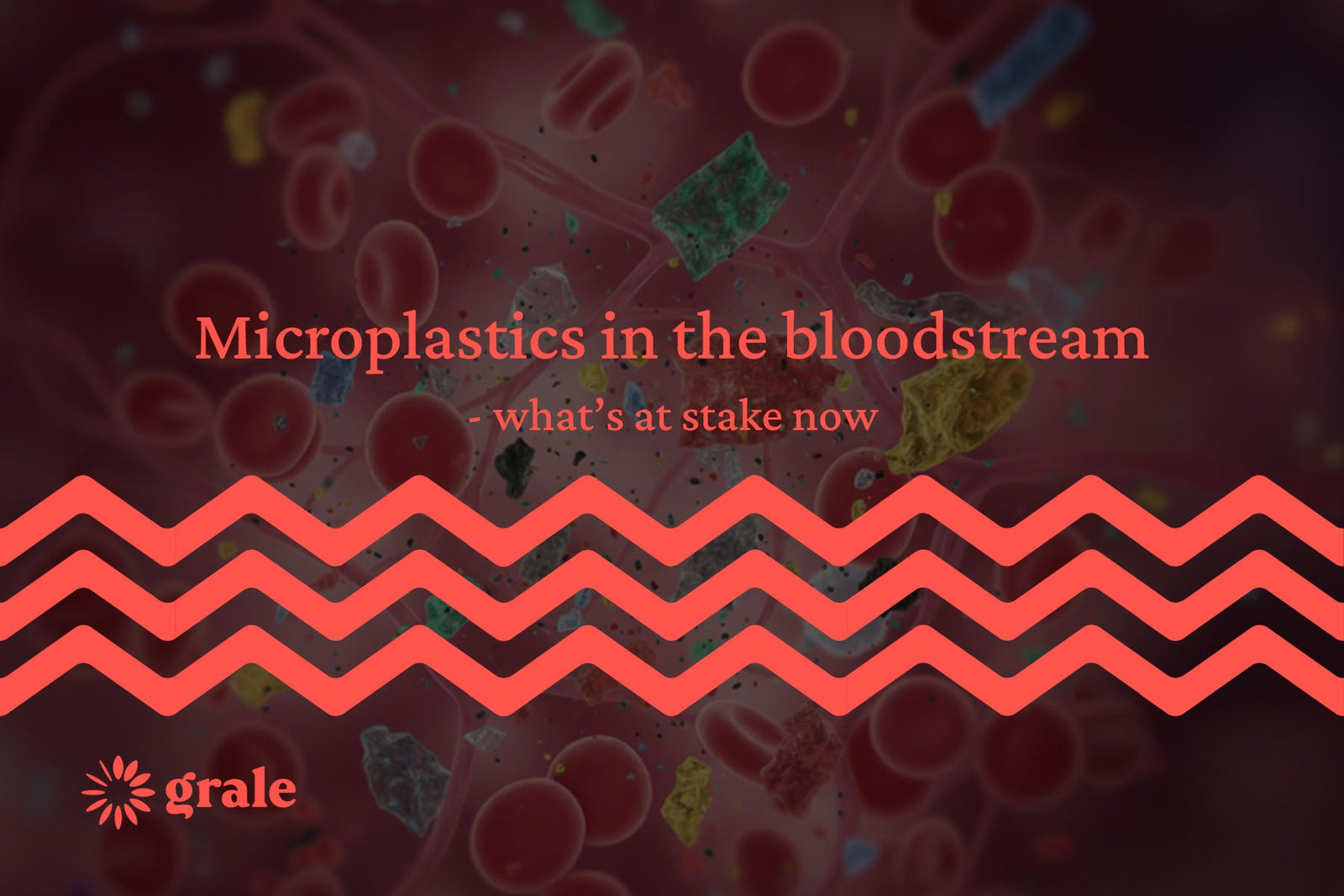 Microplastics in the bloodstream