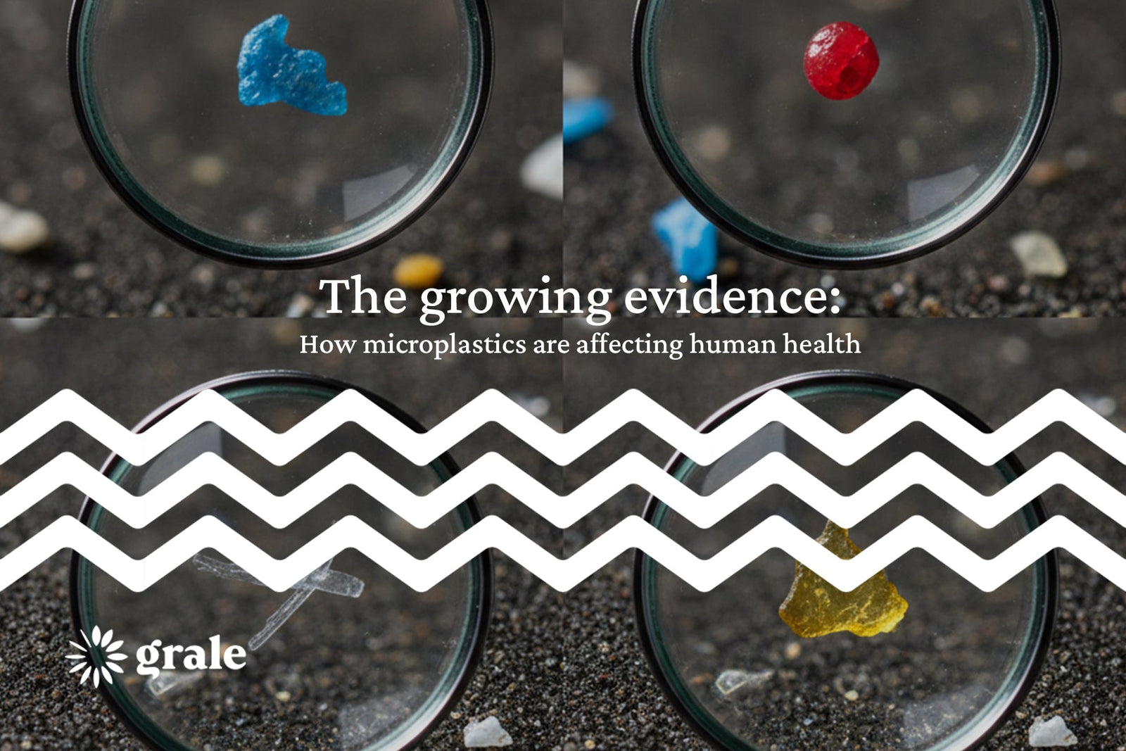 The growing evidence: How microplastics are affecting human health