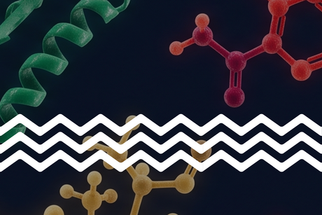 How microplastics disrupt human hormones