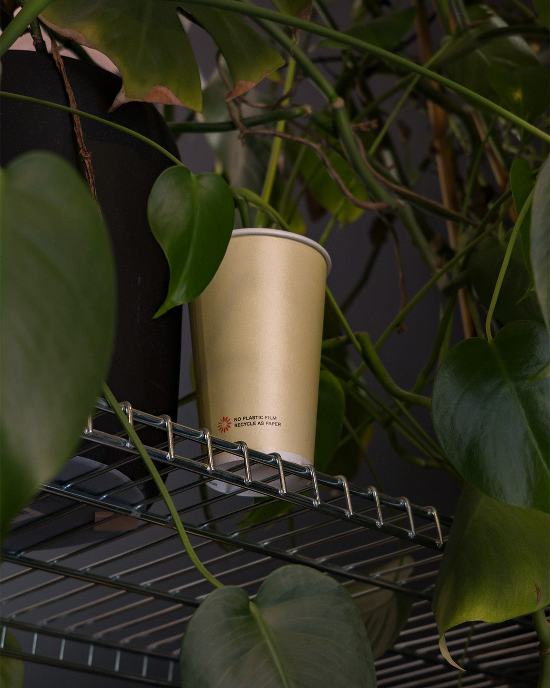 Grale Paper Cup 16oz (47-50cl)
